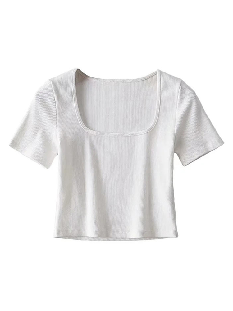 Women Square Neck Rib Crop T-s – Shirt Camp Collar Bewertung und Preis